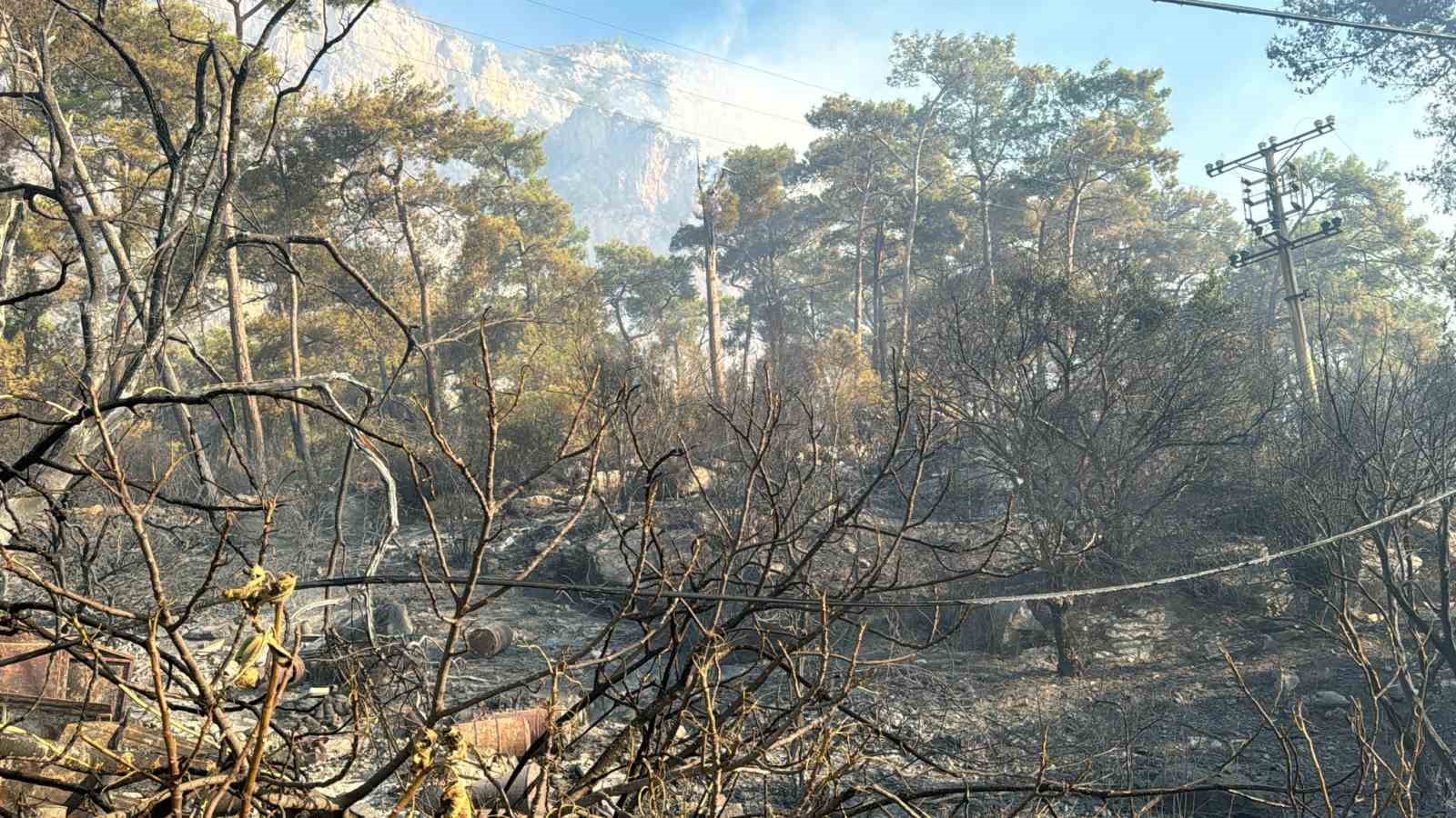 Asker ve itfaiye sahaya indi, yangının çıkış noktası ve sebebi araştırılıyor
