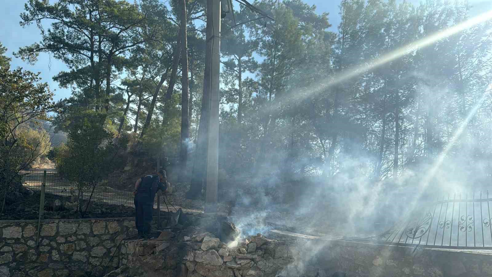 Asker ve itfaiye sahaya indi, yangının çıkış noktası ve sebebi araştırılıyor
