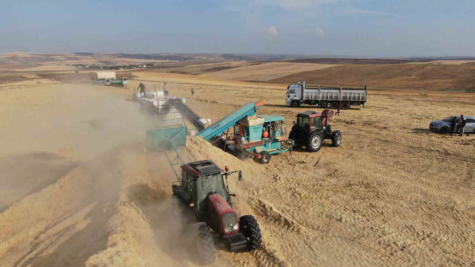 12 saat çalışıp günlük 3 bin liraya saman presliyorlar
