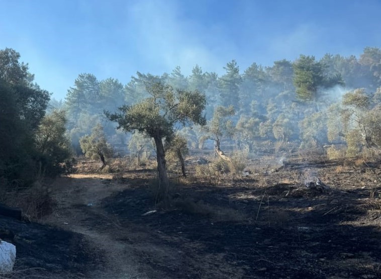 Milas orman yangını kontrol altına alındı
