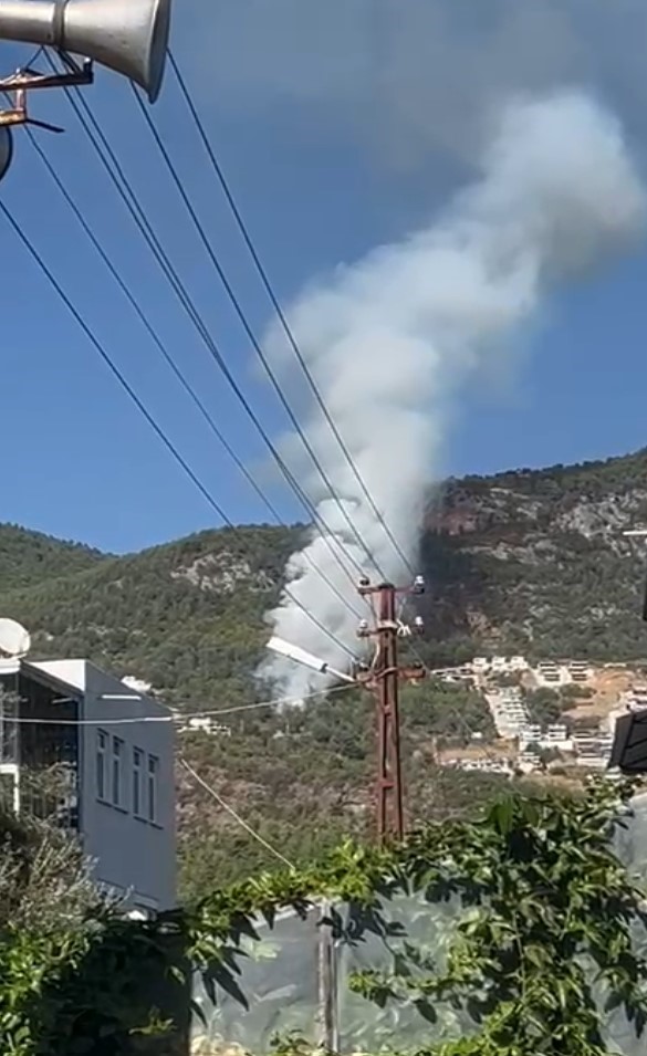 Alanya’da orman yangını
