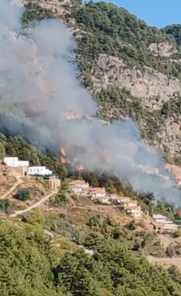 Alanya’da orman yangını
