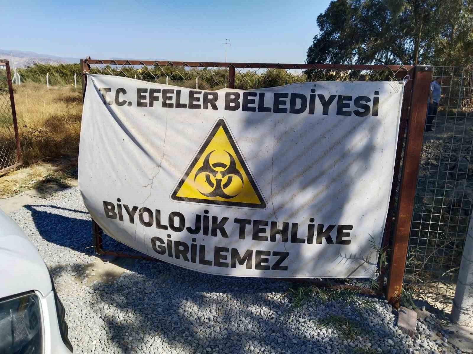 Etlerin çürüyüp koktuğu kasap dükkanını Efeler Belediyesi temizledi
