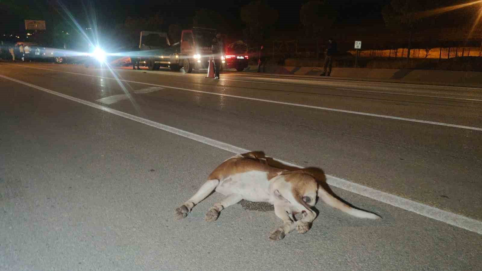 Köpeğe çarpmamak için kaza yaptı: 8 kişi yaralandı
