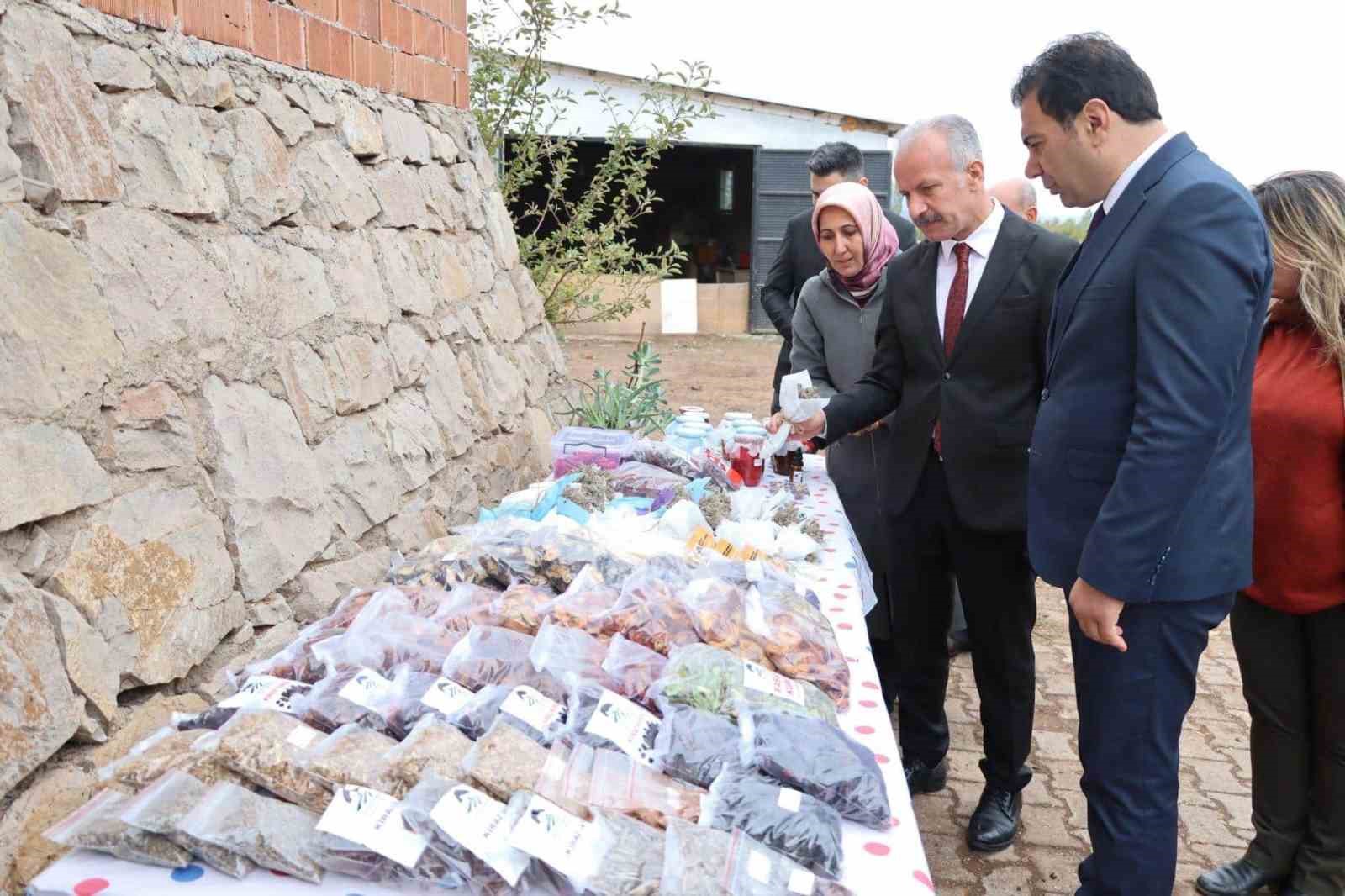 Bu lisede tarımı uygulamalı öğreniyorlar
