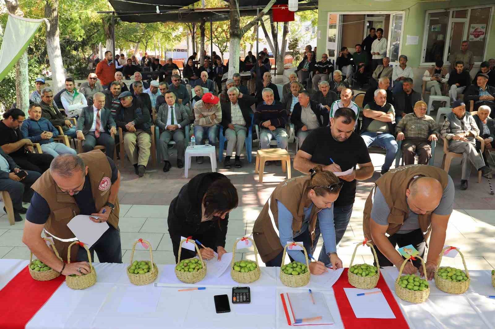 Belen’in tescilli zeytinleri yarıştı
