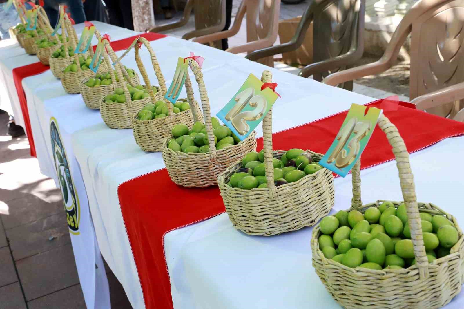 Belen’in tescilli zeytinleri yarıştı
