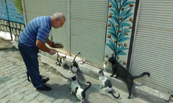 Diyarbakır’da sokak hayvanları için çağrı
