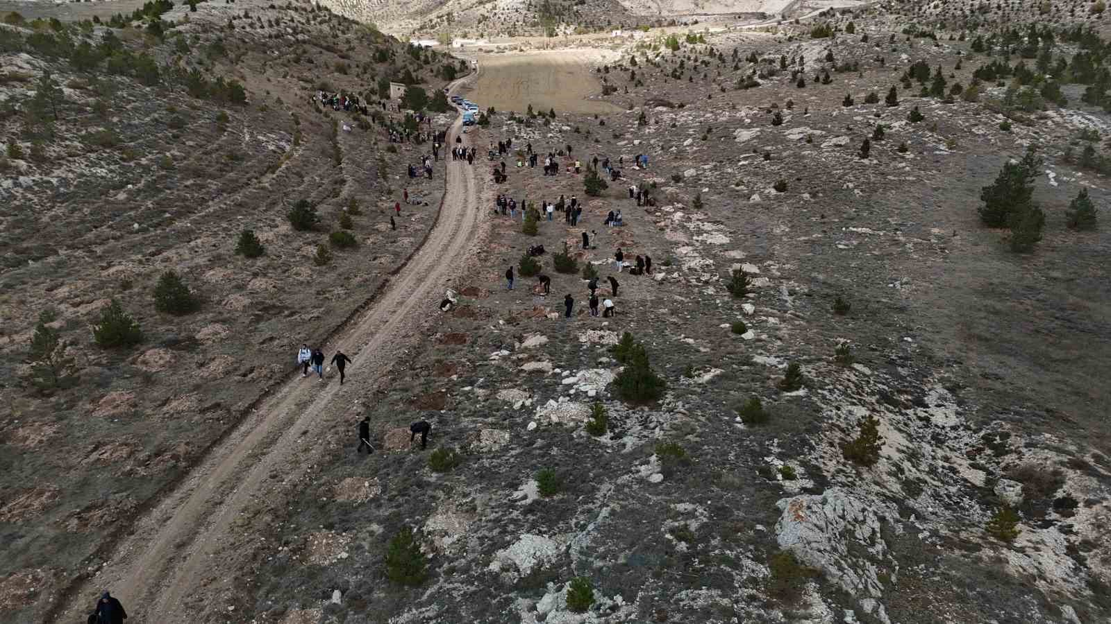 Türkiye’yi yasa boğmuştu, hatırası adına oluşturulacak ormanla yaşatılacak
