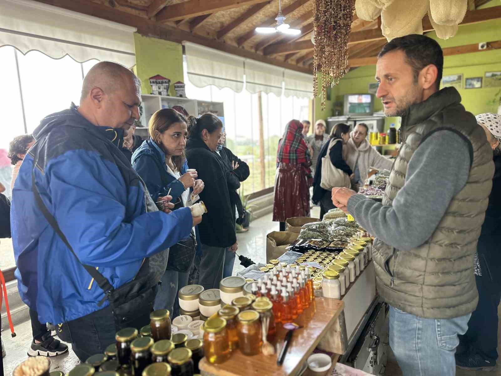 Mor yapraklı, kırmızı lifli safranı görmek için tarlalara akın ediyorlar
