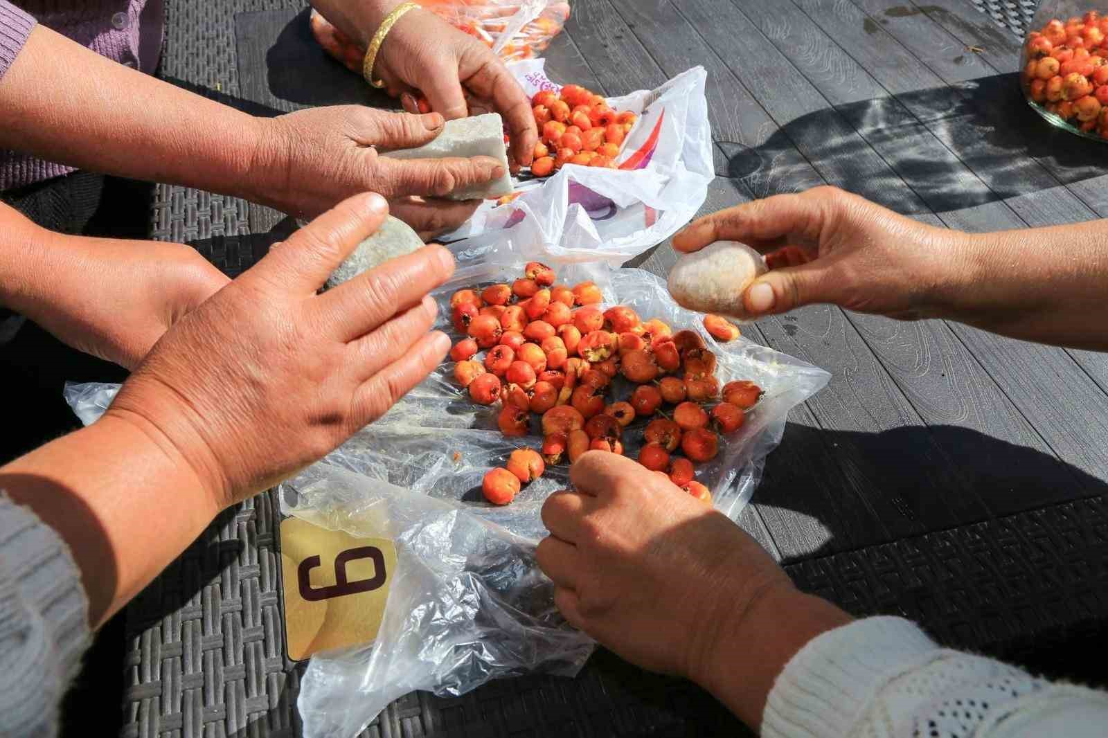 Çameli’nde kadınlara doğal yollarla ‘alıç sirkesi’ yapımı eğitimi
