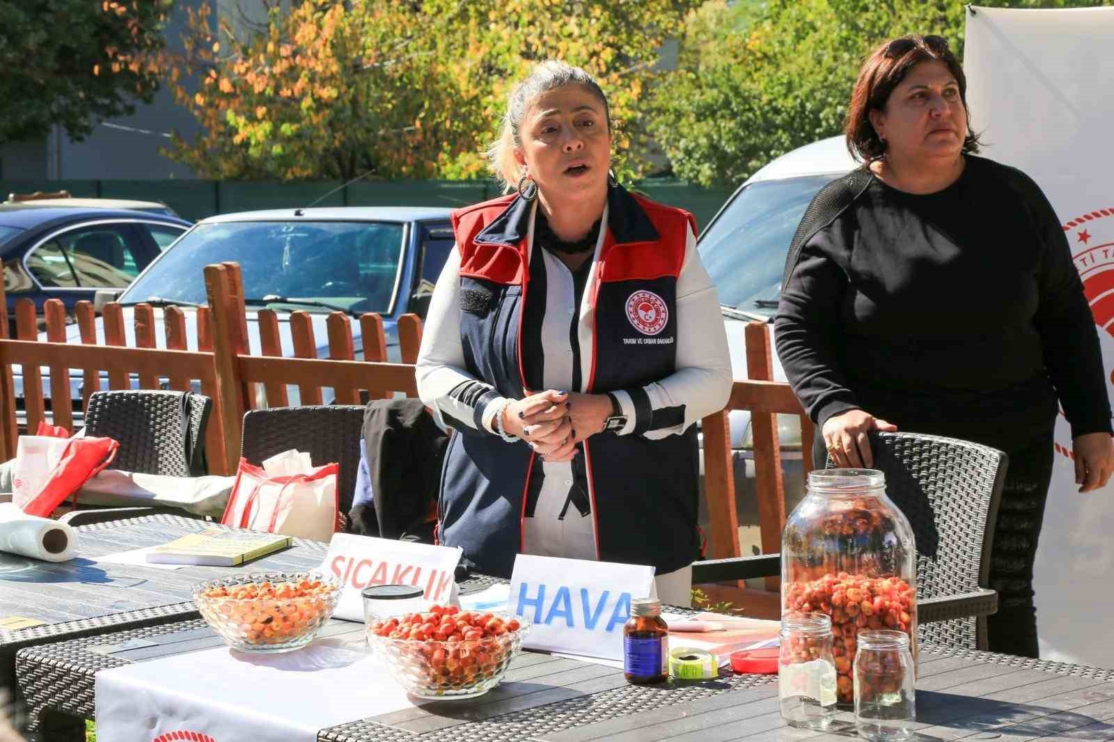 Çameli’nde kadınlara doğal yollarla ‘alıç sirkesi’ yapımı eğitimi
