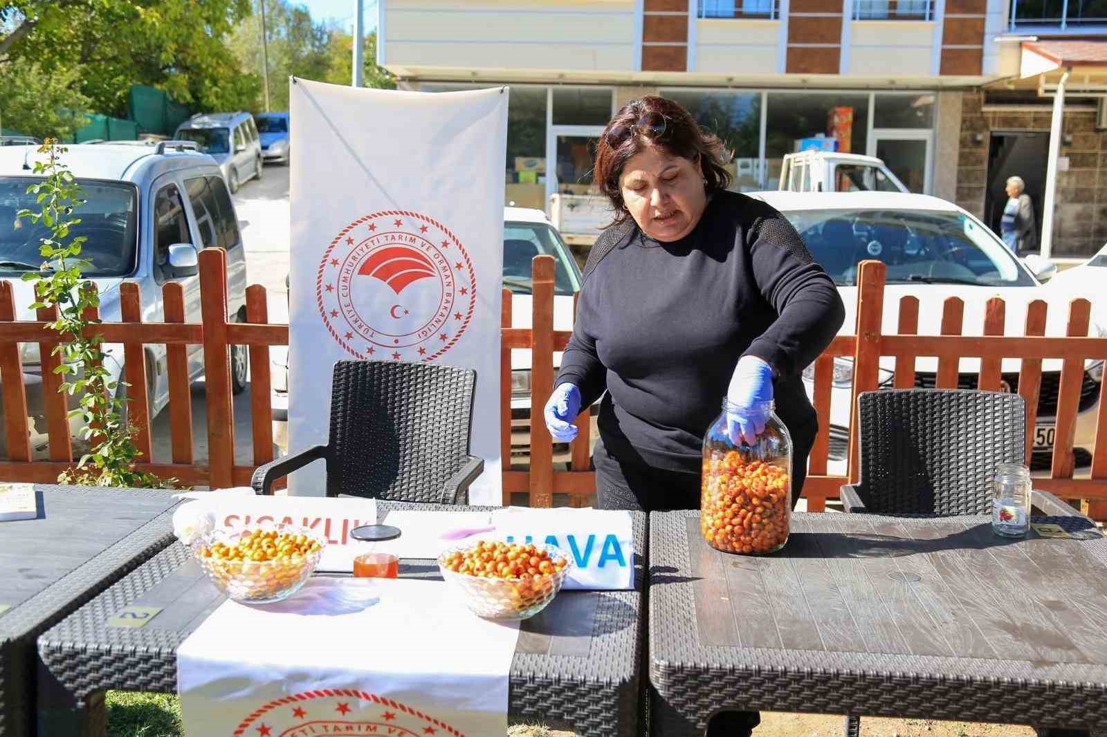 Çameli’nde kadınlara doğal yollarla ‘alıç sirkesi’ yapımı eğitimi
