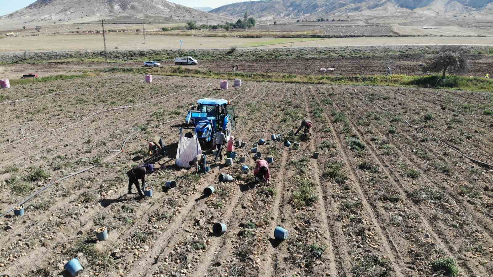 Sofraların vazgeçilmezi patates tarlada 2, pazarda 10 lira
