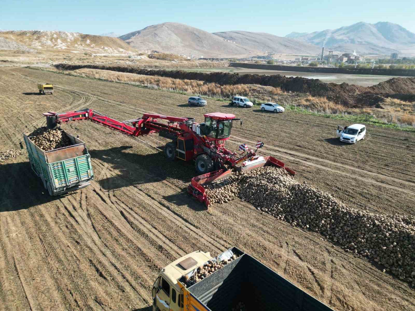 Kahramanmaraş’ta şeker pancarı hasadı başladı
