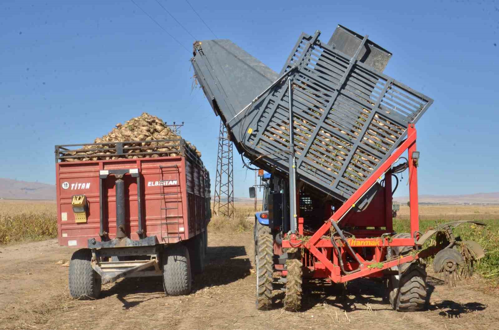 Kahramanmaraş’ta şeker pancarı hasadı başladı
