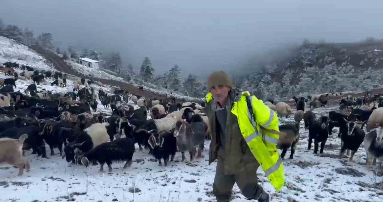 Giresun yaylalarına kar yağdı, çobanlar zorlu dönüş yolculuğuna çıktı
