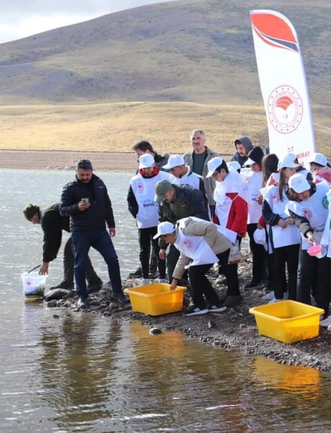 Divriği’de göletlere 10 bin yavru alabalık bırakıldı
