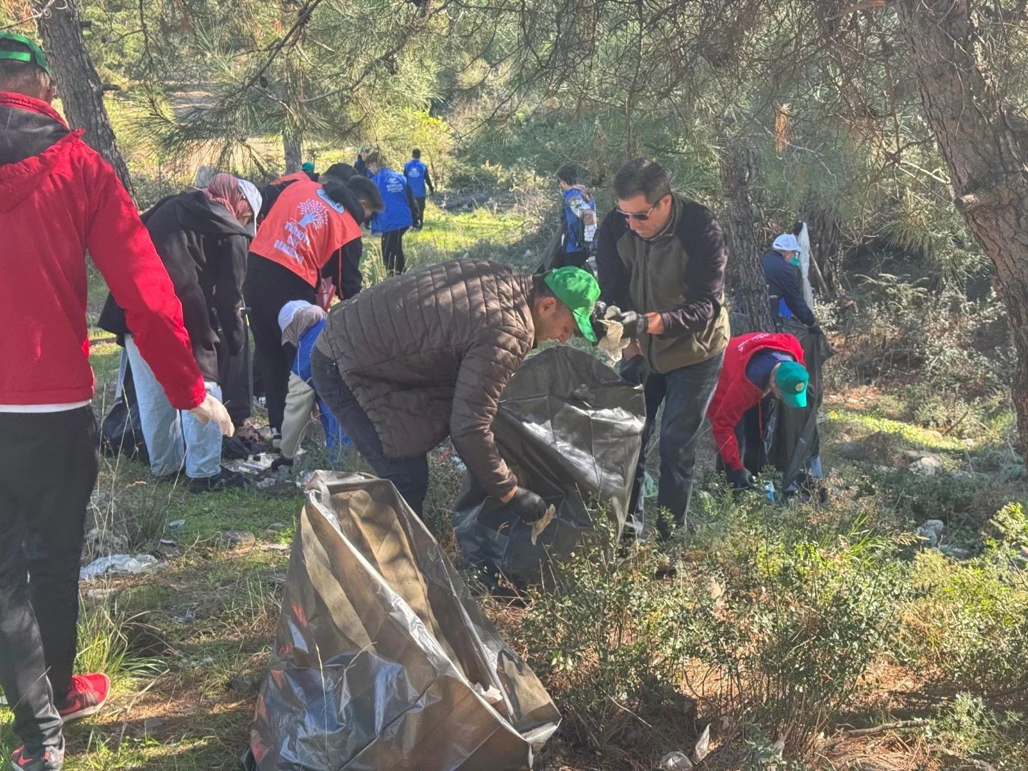 Ormanlar karış karış temizledi
