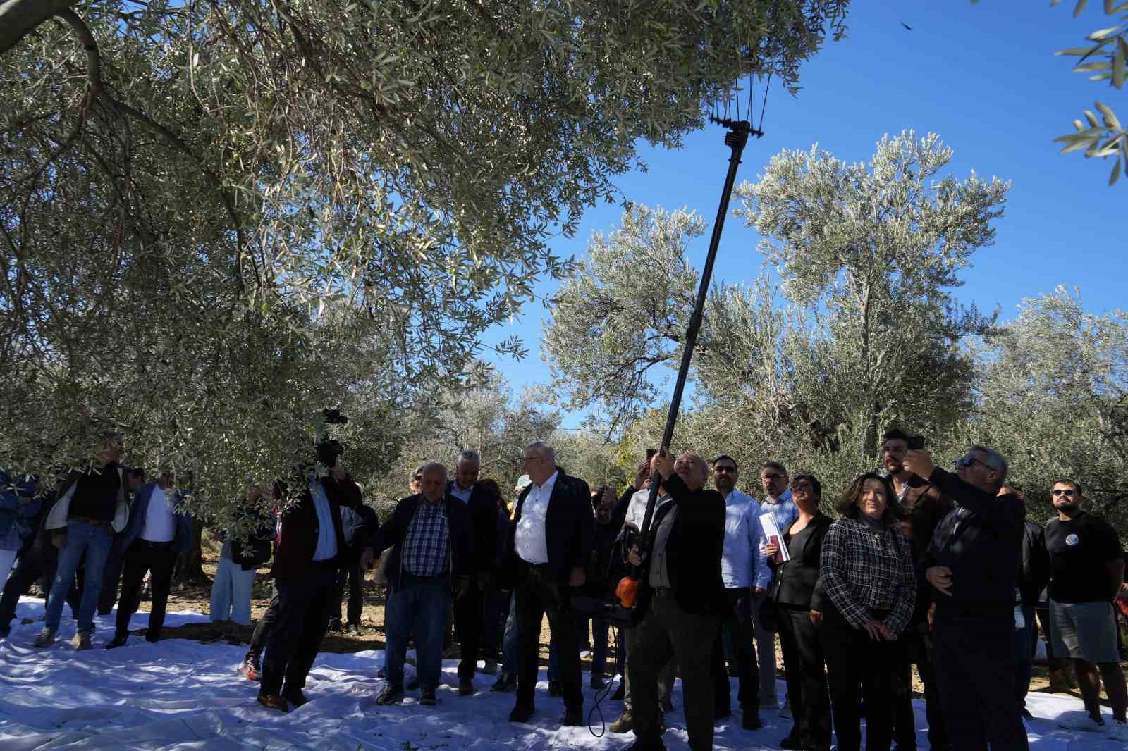 Ünlü şefler zeytinin, zeytinyağına yolculuğuna şahitlik ettiler
