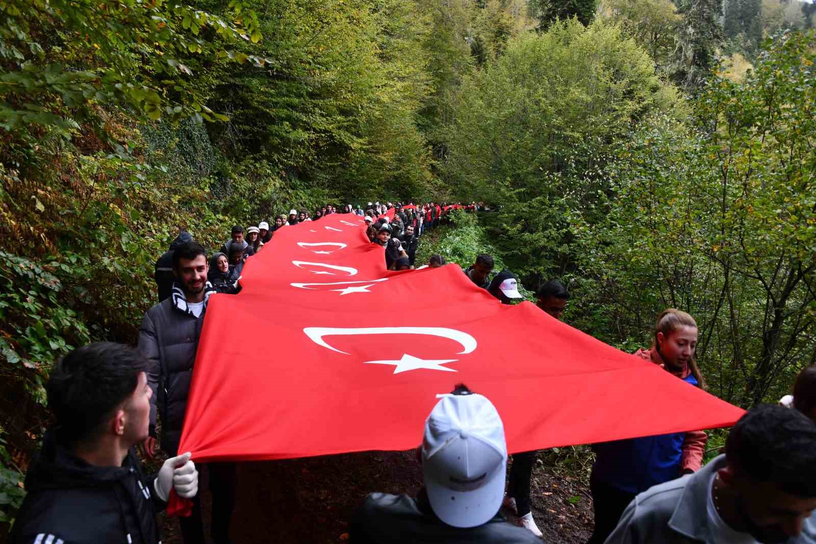 Örümcek Ormanları’nda 