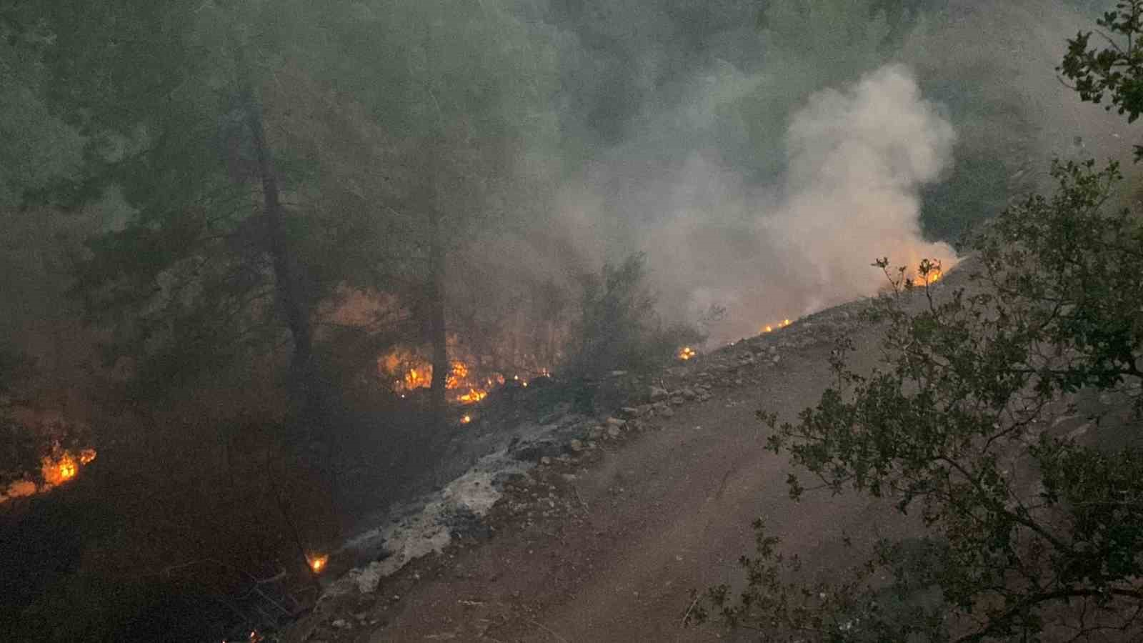 Burdur’da çıkan orman yangını kontrol altına alındı
