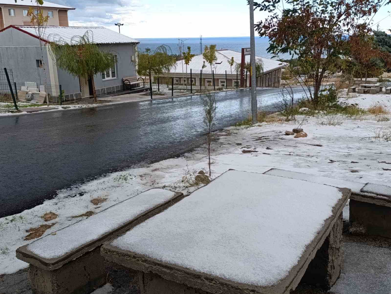 Van’da her yer beyaza büründü
