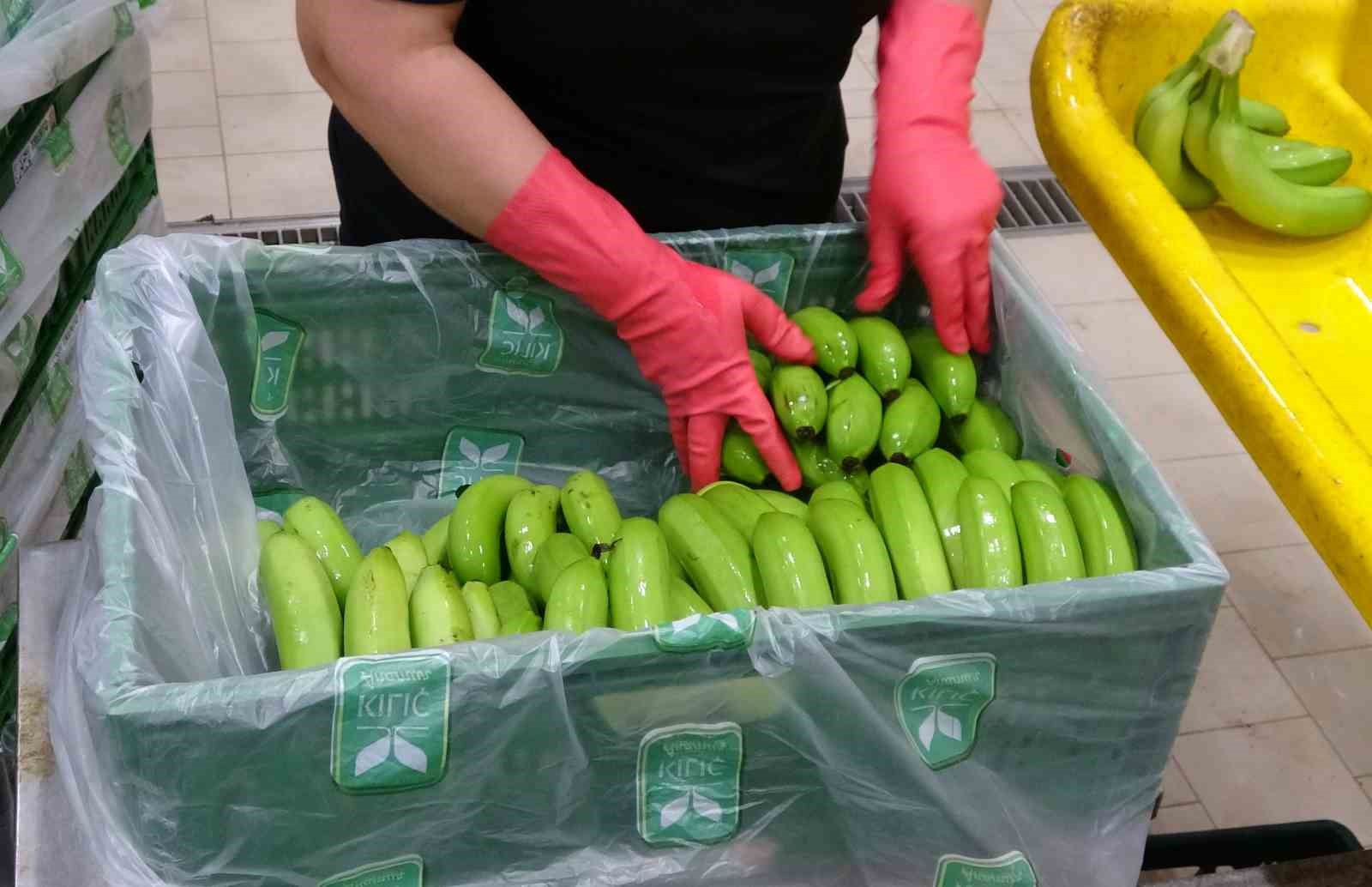 Muzun başkentinde hasat sezonu başladı: Tüketilen her iki muzdan biri Mersin’den
