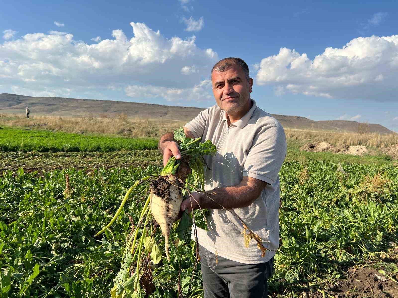 Akyaka’da pancar hasadı başladı
