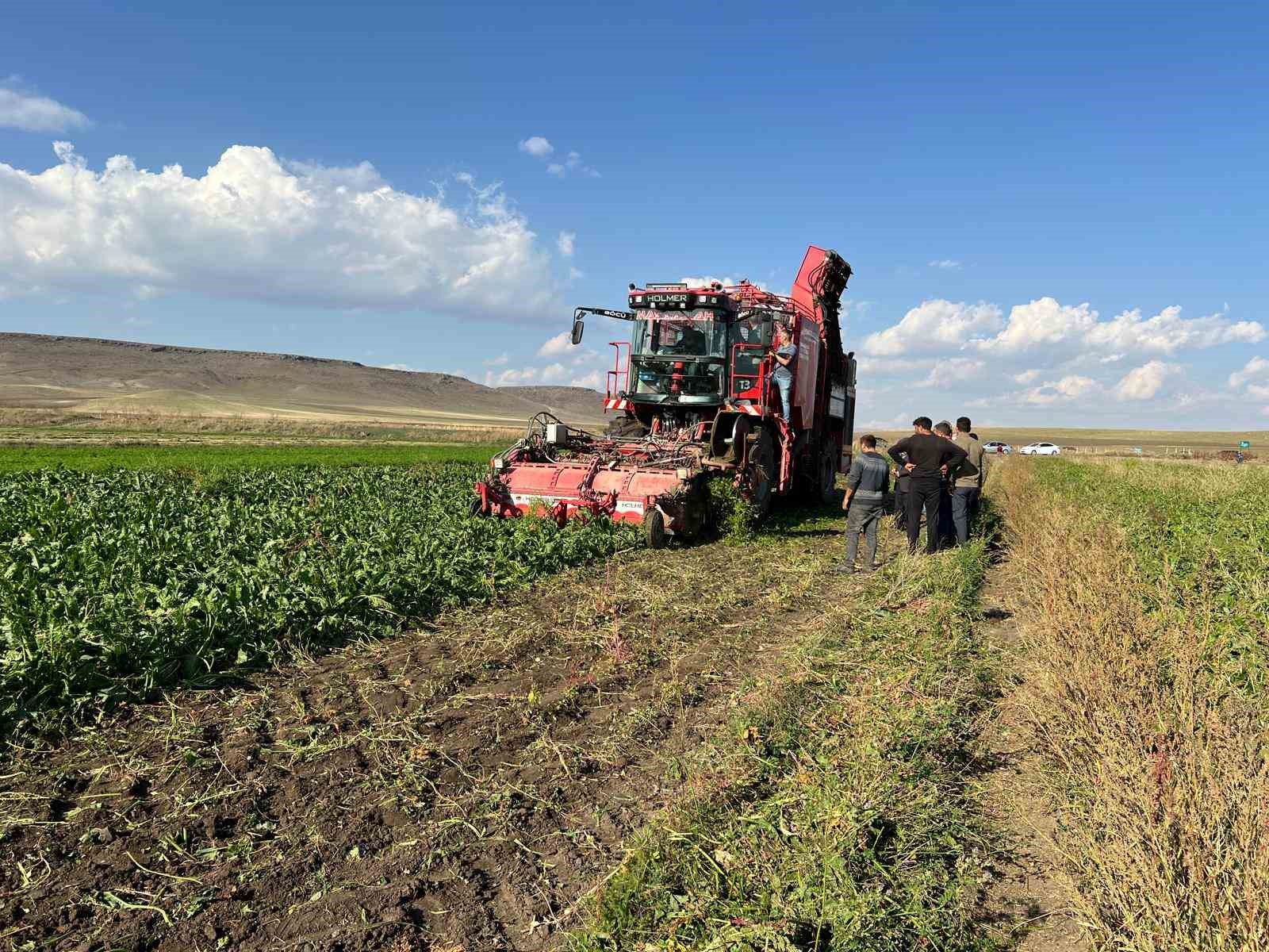 Akyaka’da pancar hasadı başladı
