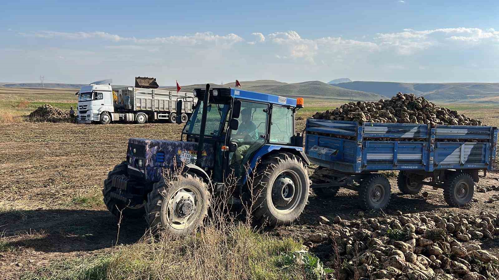 Akyaka’da pancar hasadı başladı
