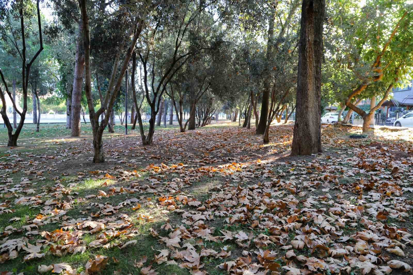 Manisa’ya sonbahar güzelliği geldi
