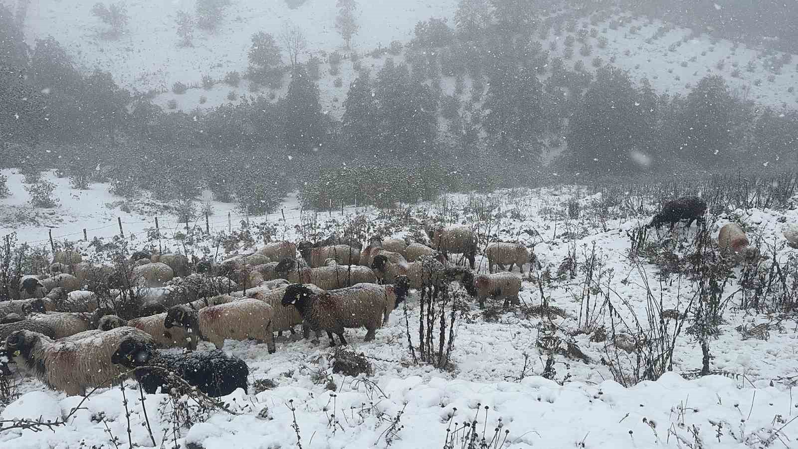 Ordu’nun yüksek kesimlerinde kar yağışı
