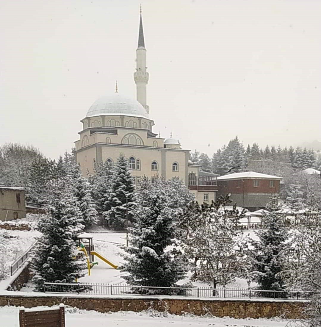 Ordu’nun yüksek kesimlerinde kar yağışı
