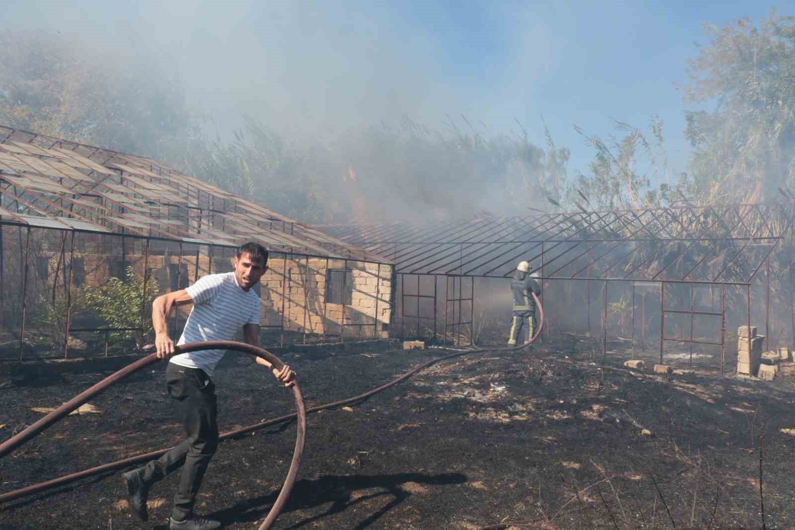 Antalya’da sazlık yangını: 3 sera zarar gördü
