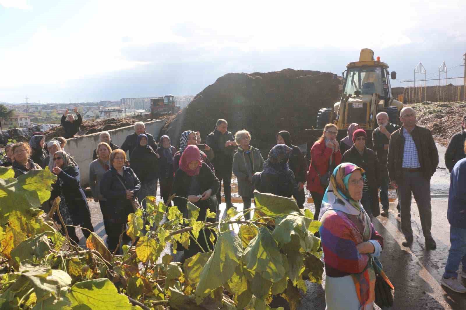 Körfez’in çınarları mantar topladı
