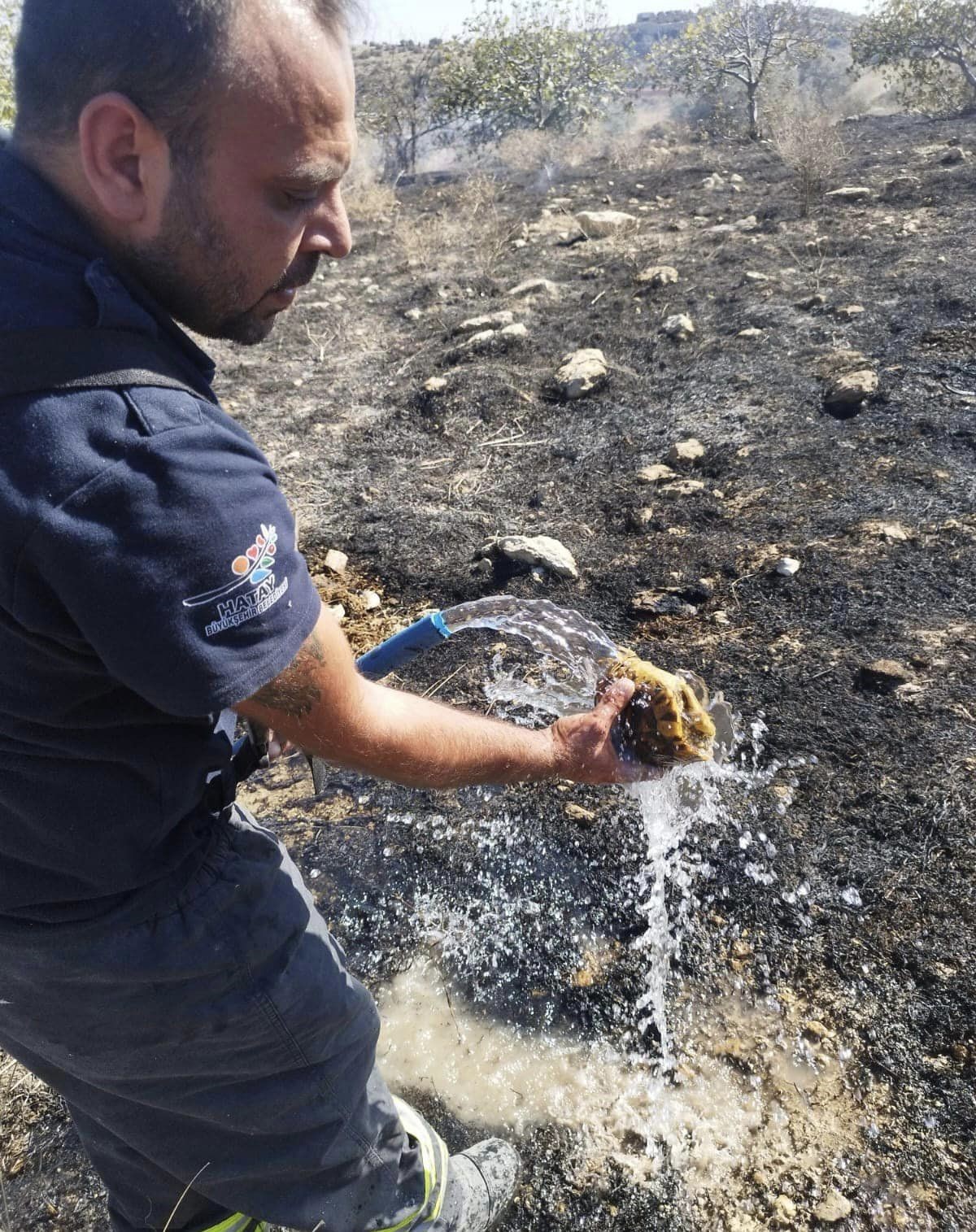 İtfaiyeciden yangının içinde kalan kaplumbağaya can suyu
