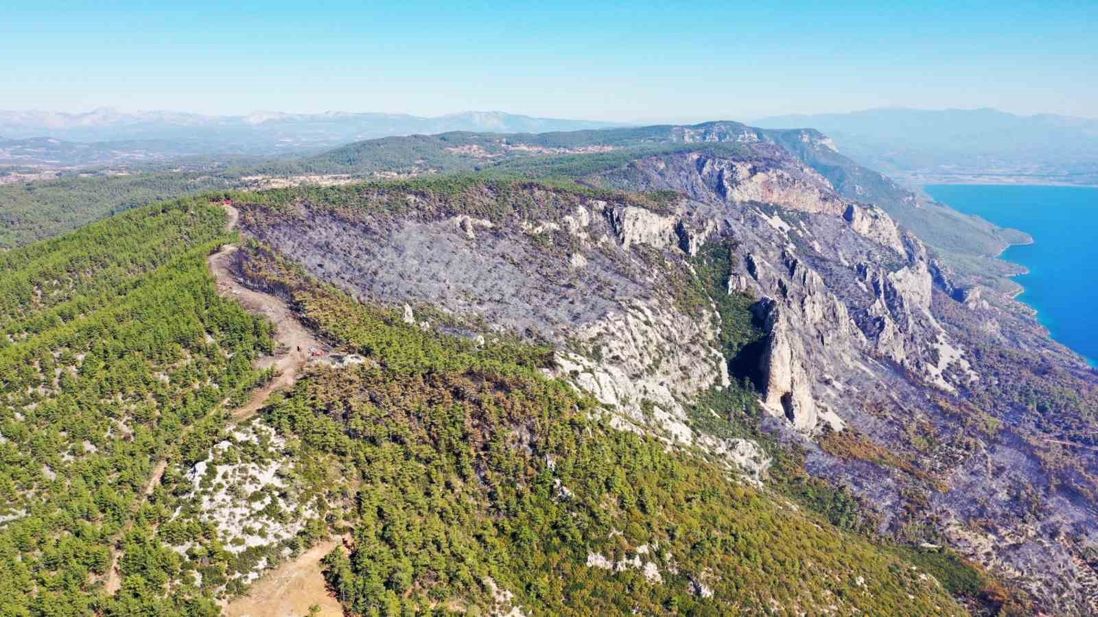 Gökova’da alevlerin önünü kesmek için 6,5 kilometre yangın şeridi açıldı
