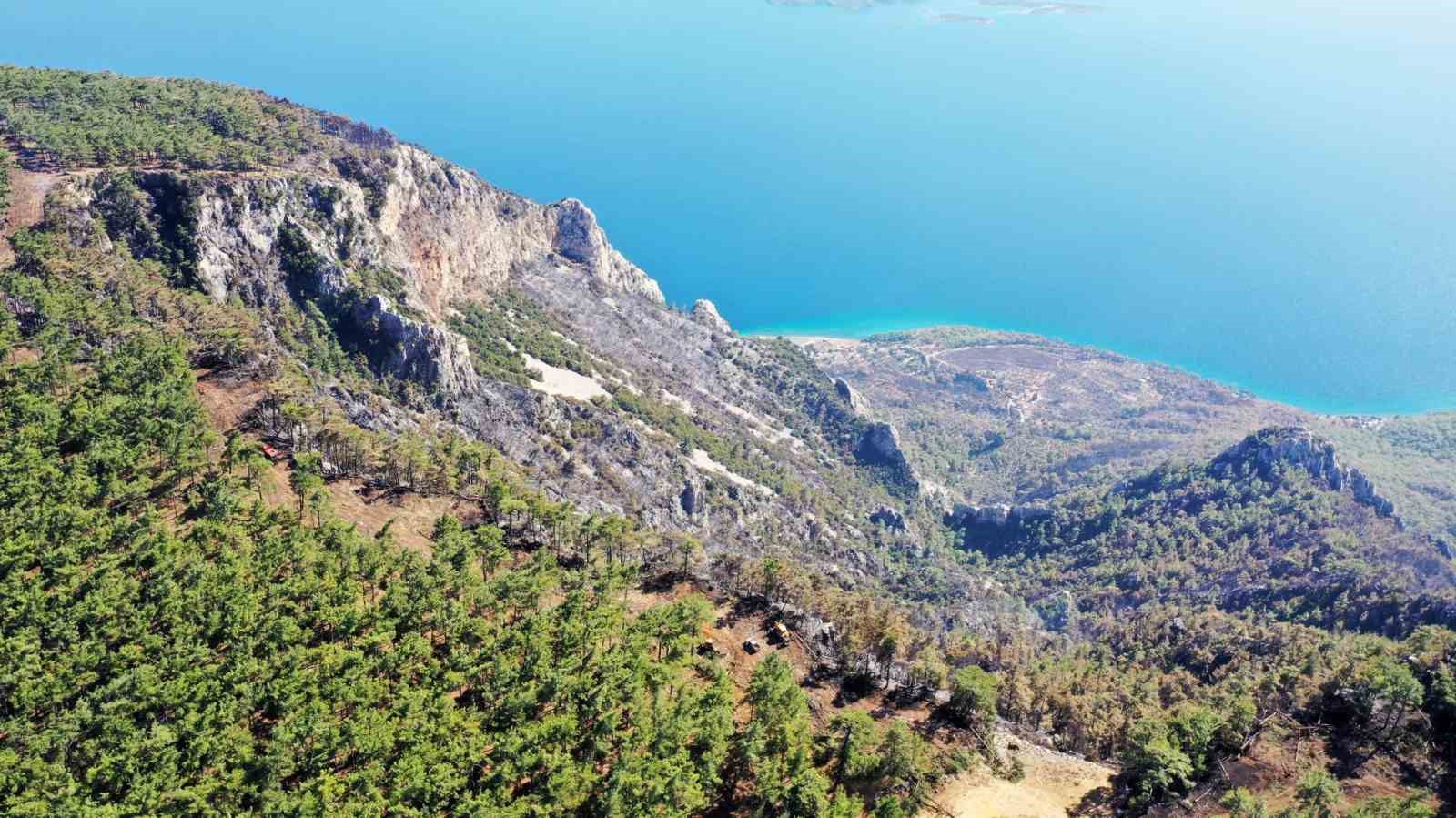 Gökova’da alevlerin önünü kesmek için 6,5 kilometre yangın şeridi açıldı
