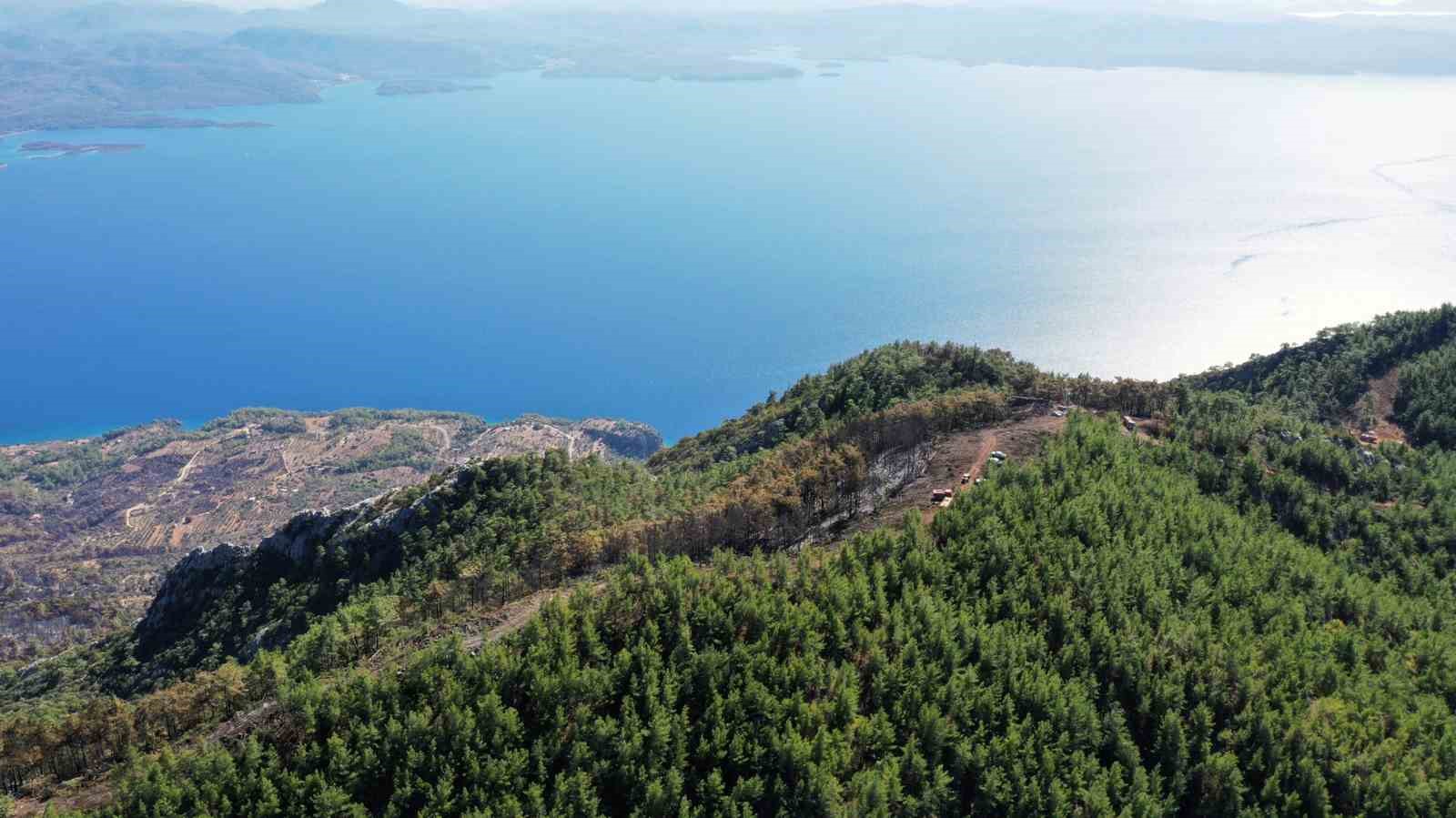 Gökova’da alevlerin önünü kesmek için 6,5 kilometre yangın şeridi açıldı
