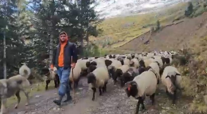 Kar bastırınca yayladan mezraya 3 günde ulaştılar
