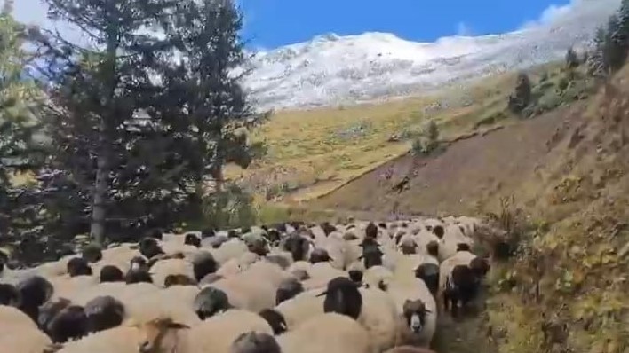 Kar bastırınca yayladan mezraya 3 günde ulaştılar
