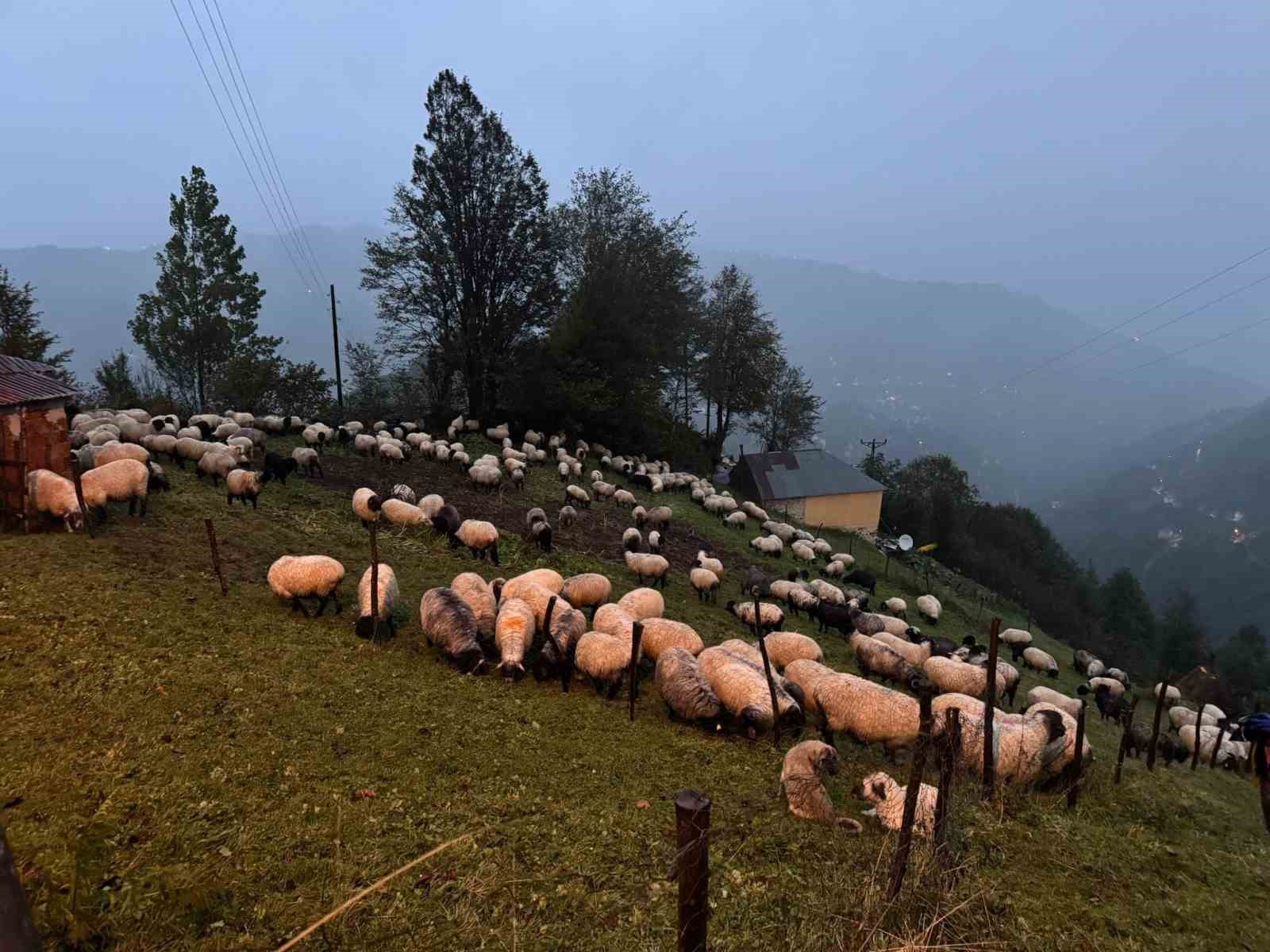 Kar bastırınca yayladan mezraya 3 günde ulaştılar
