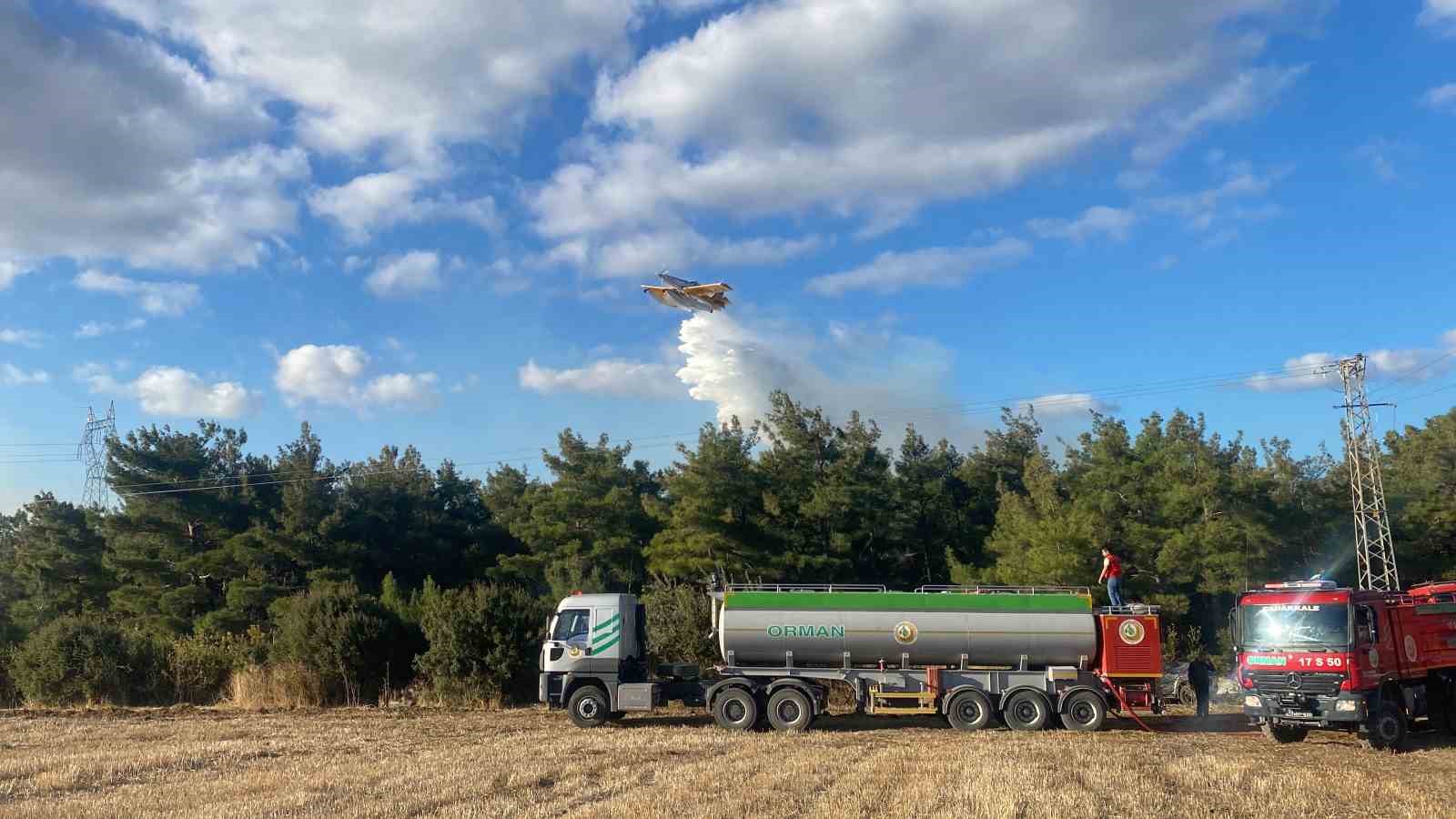 Çanakkale’deki orman yangınında 2 kişi gözaltına alındı
