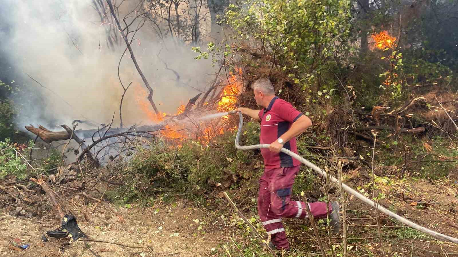 Çanakkale’deki orman yangınında 2 kişi gözaltına alındı
