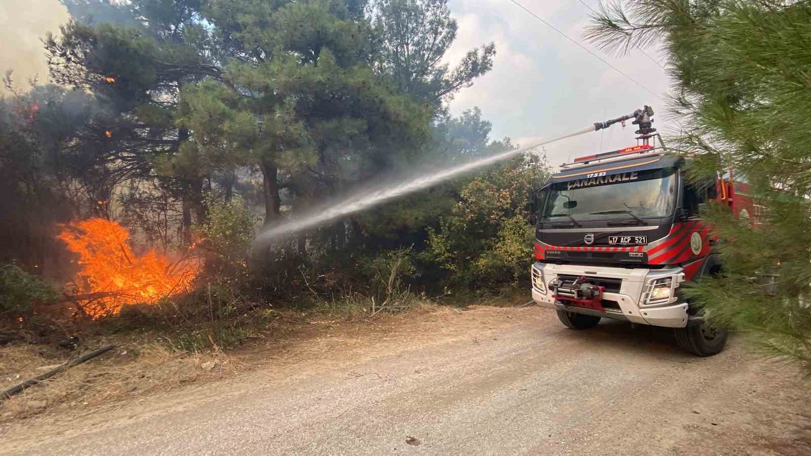 Çanakkale’deki orman yangınında 2 kişi gözaltına alındı
