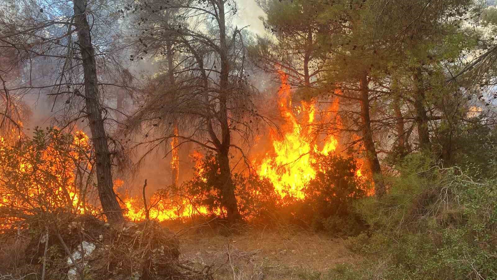 Çanakkale’deki orman yangınında 2 kişi gözaltına alındı
