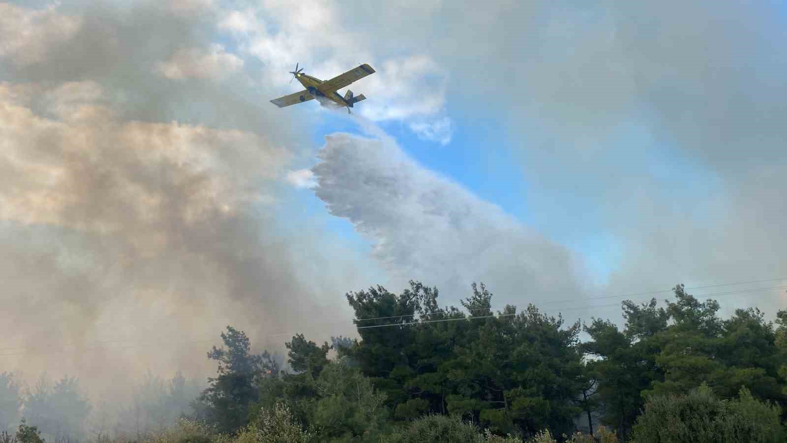 Çanakkale’deki orman yangınında 2 kişi gözaltına alındı
