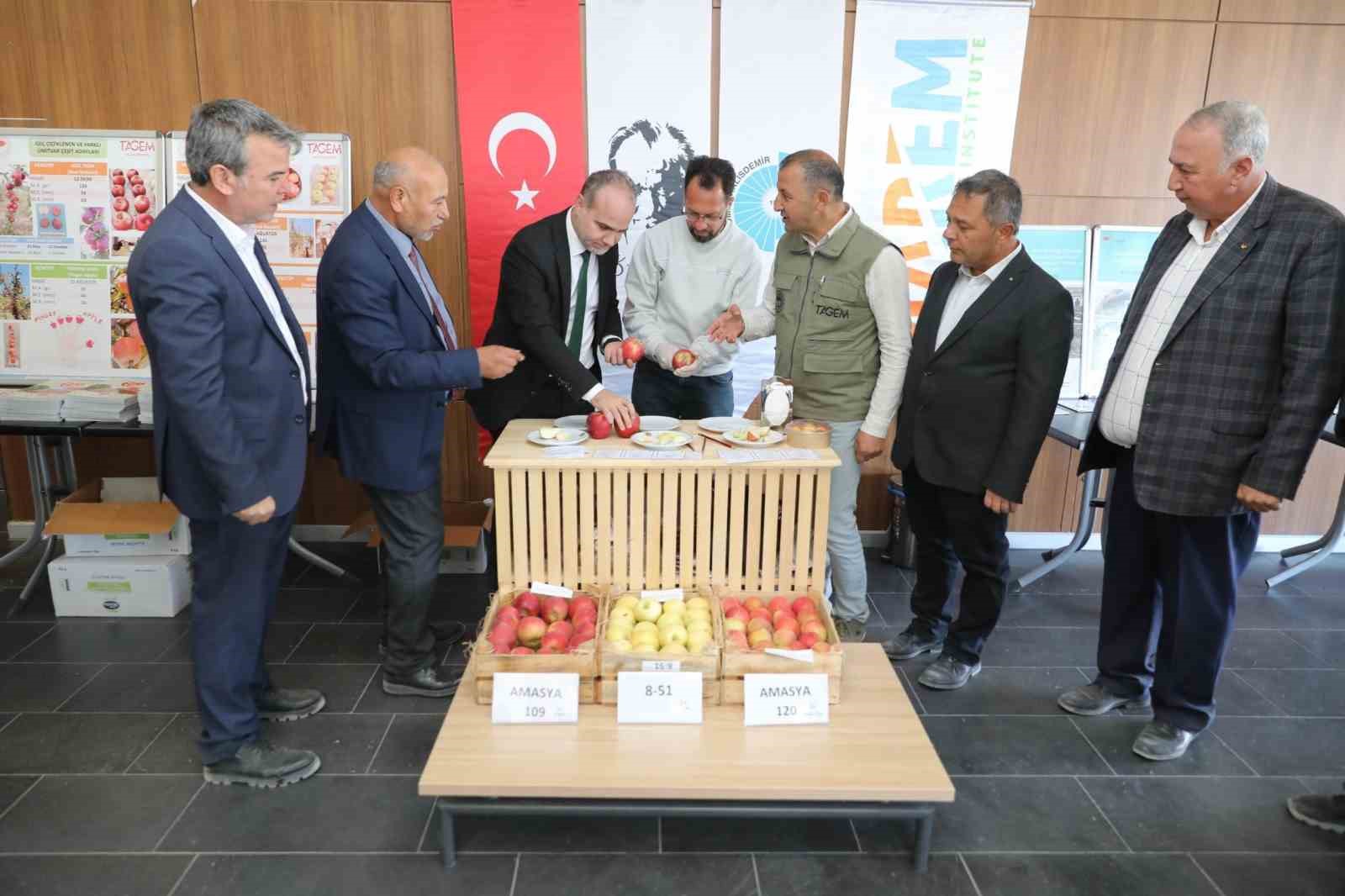 Niğde Ömer Halisdemir Üniversitesinde 200 ton elma hasadı yapıldı
