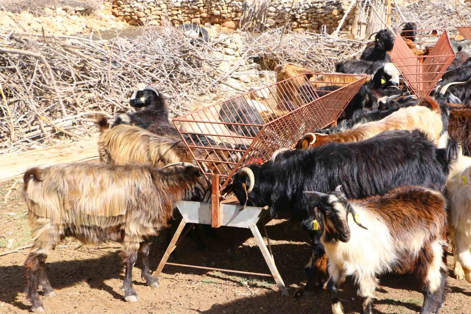 Elmalı’da Çoban Haritası Projesi tamamladı
